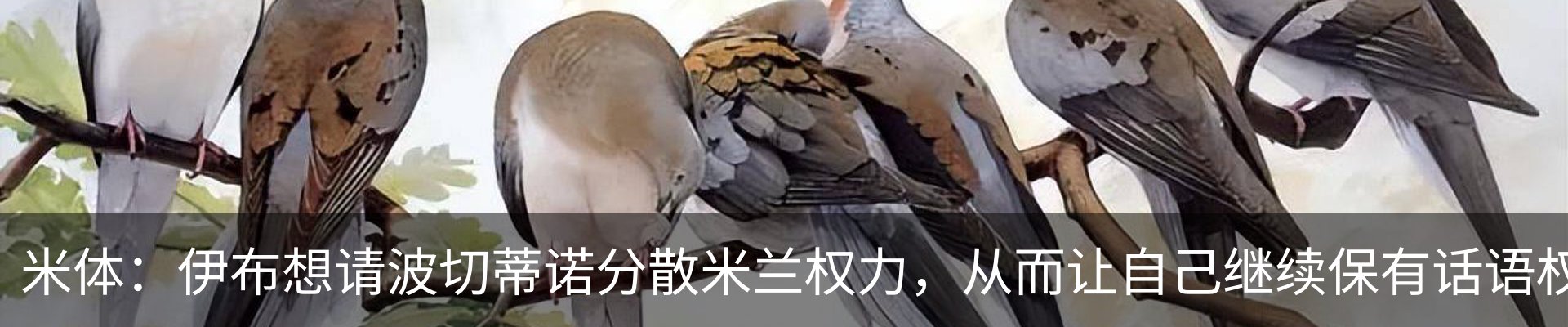 内页banner