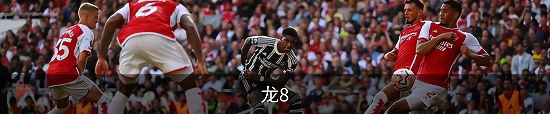 龙8